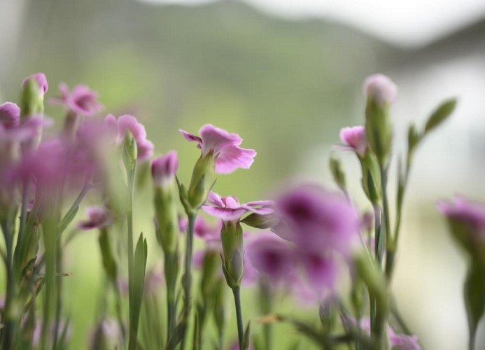 Ferienwohnung Bergrausch in Oberammergau