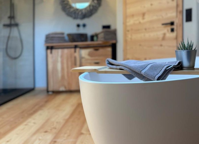 Zur Schmiede - AlpLoft 1 in Kaltenbrunn