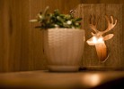 Ferienhaus Die 12 in Garmisch-Partenkirchen