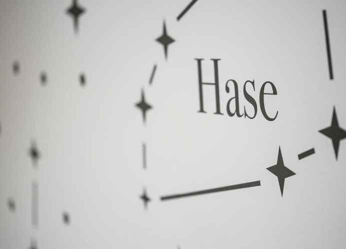 Sternenhimmel - Ferienwohnung 'Hase' in Oberammergau